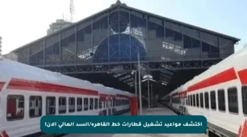 اكتشف مواعيد تشغيل قطارات خط القاهرة/السد العالي الآن!